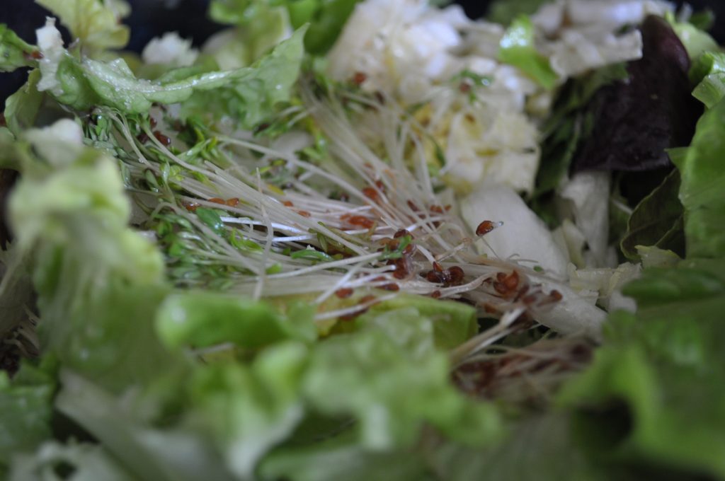 Cresson en salade